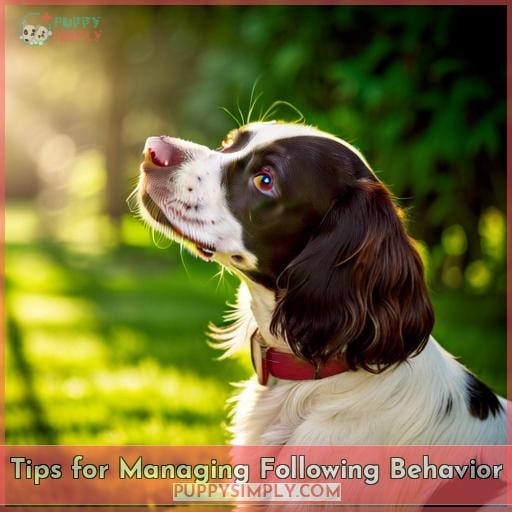 Tips for Managing Following Behavior Tips for Managing Following Behavior