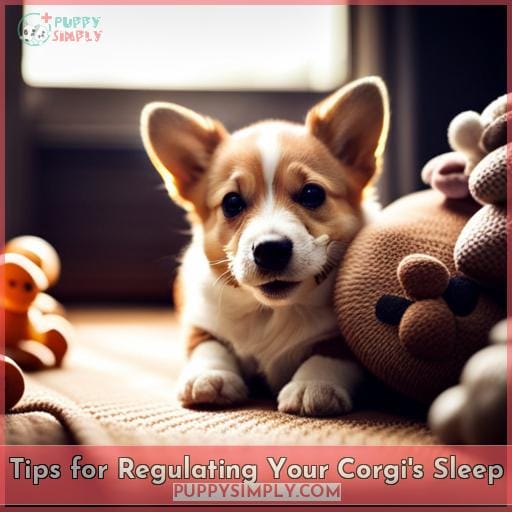 Tips for Regulating Your Corgi