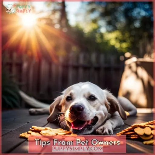 Tips From Pet Owners