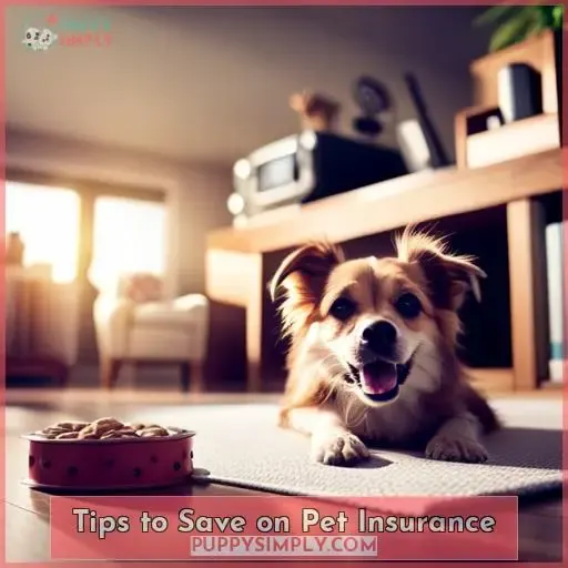 Tips to Save on Pet Insurance