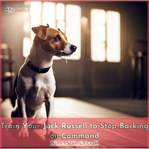 Train Your Jack Russell to Stop Barking on Command