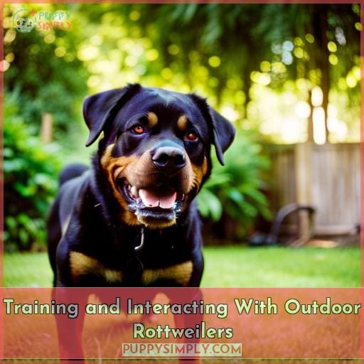 Training and Interacting With Outdoor Rottweilers