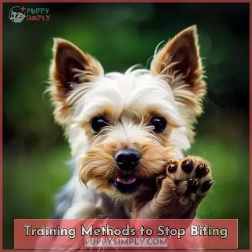 Training Methods to Stop Biting