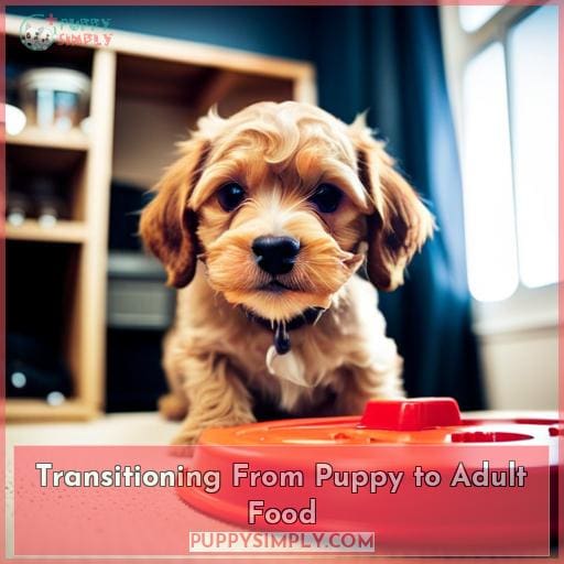Transitioning From Puppy to Adult Food