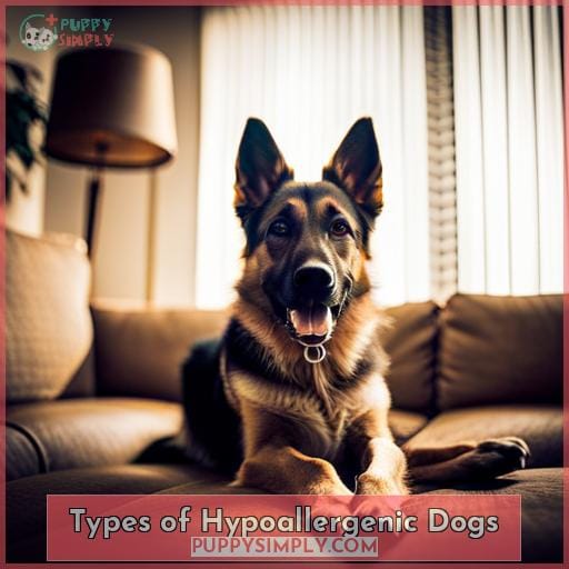 Types of Hypoallergenic Dogs