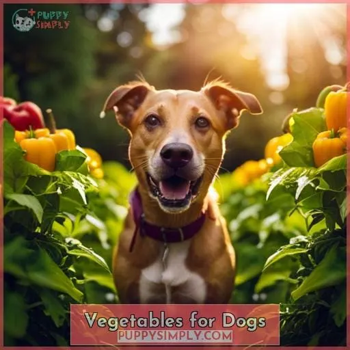 Vegetables for Dogs