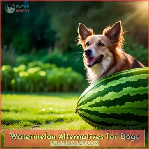 Watermelon Alternatives for Dogs