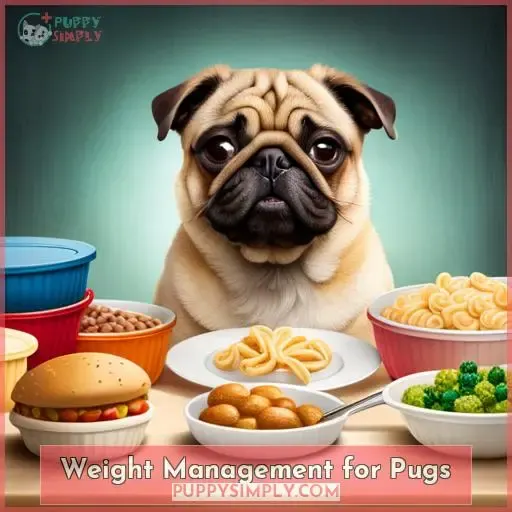 Weight Management for Pugs