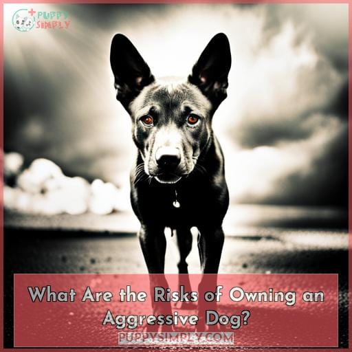 What Are the Risks of Owning an Aggressive Dog