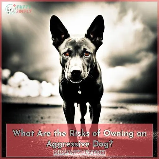 What Are the Risks of Owning an Aggressive Dog