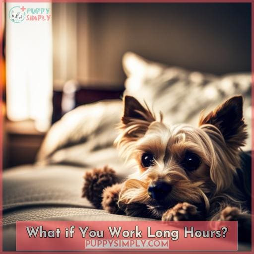 What if You Work Long Hours