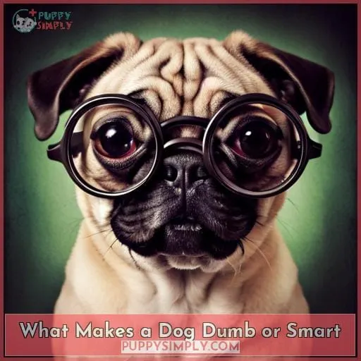 What Makes a Dog Dumb or Smart