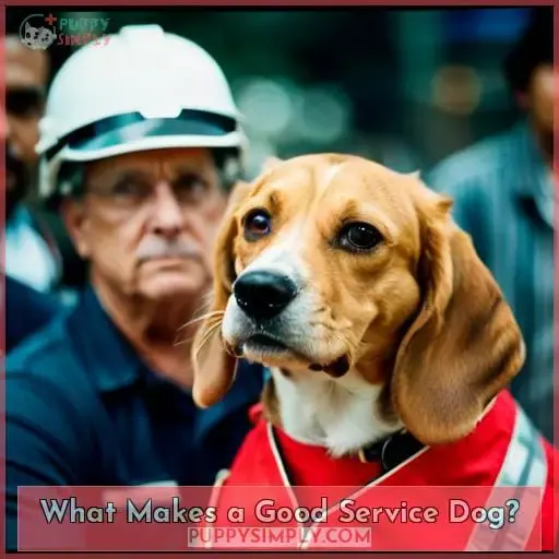 What Makes a Good Service Dog