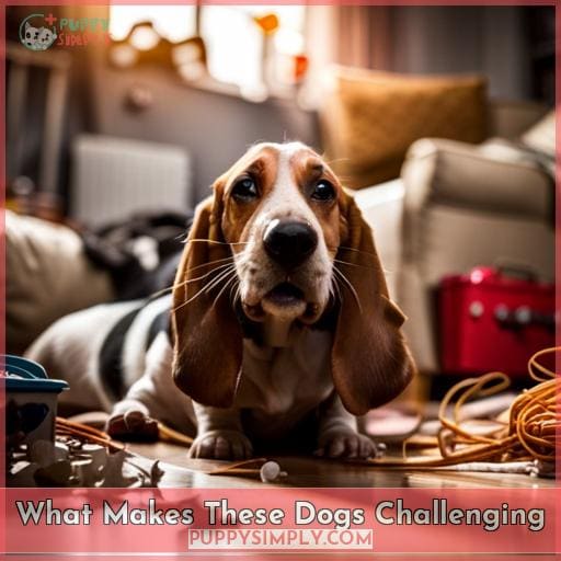 What Makes These Dogs Challenging