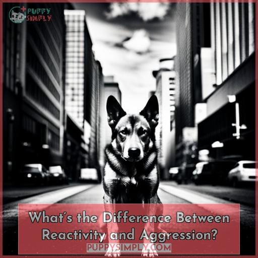 What’s the Difference Between Reactivity and Aggression