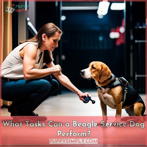 Are Beagles Good Service Dogs? Smart But Easily Distracted Breed's Pros ...