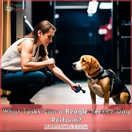 What Tasks Can a Beagle Service Dog Perform