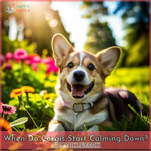 When Do Start Calming Down? Tips to Manage High Energy