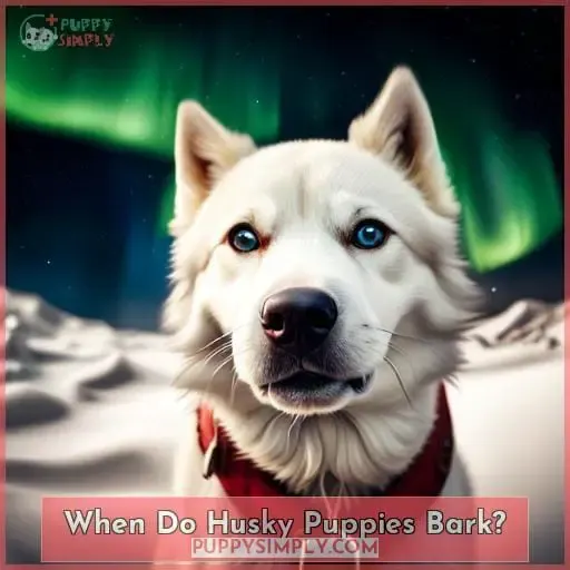 When Do Husky Puppies Bark