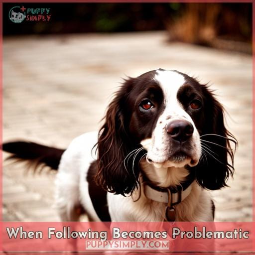 When Following Becomes Problematic When Following Becomes Problematic