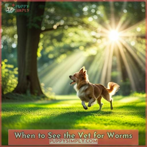 When to See the Vet for Worms