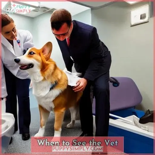 When to See the Vet