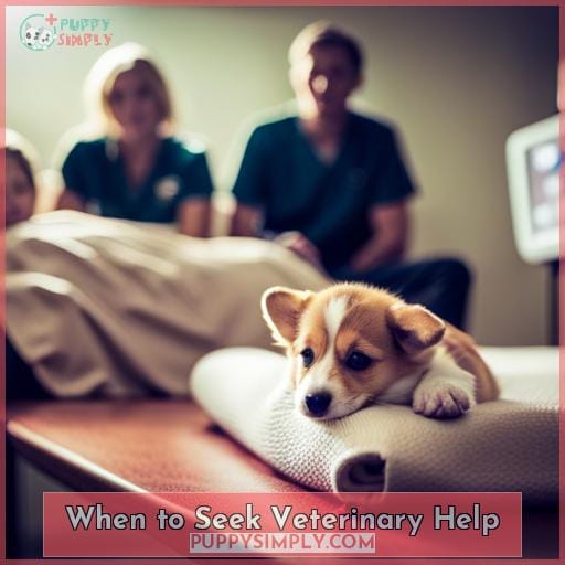 When to Seek Veterinary Help When to Seek Veterinary Help