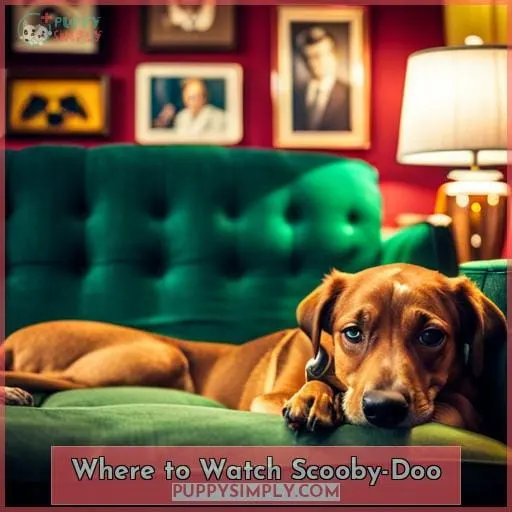 Where to Watch Scooby-Doo