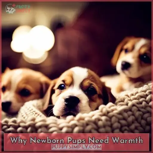 Why Newborn Pups Need Warmth