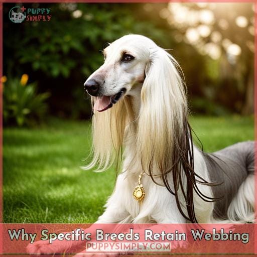 Why Specific Breeds Retain Webbing