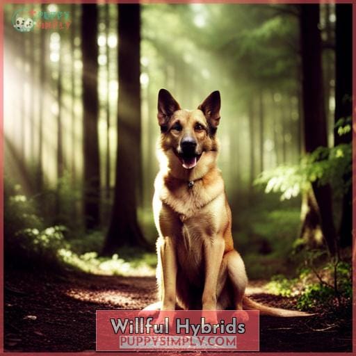 Willful Hybrids