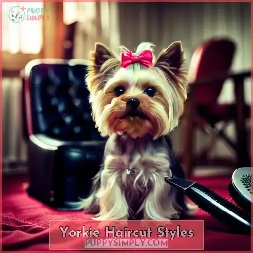 Yorkie Haircut Styles