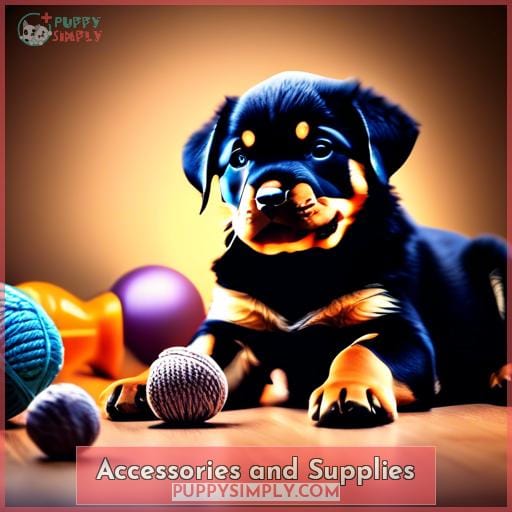 Accessories and Supplies
