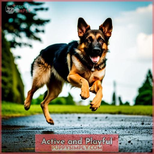 Active and Playful Active and Playful