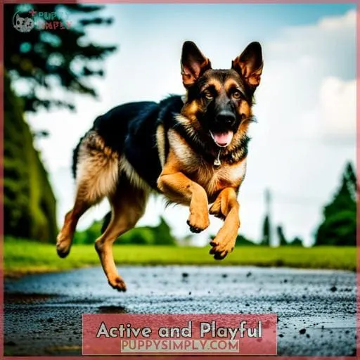 Active and Playful
