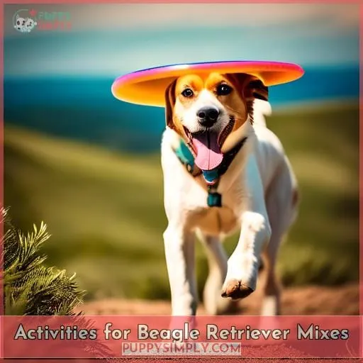Activities for Beagle Retriever Mixes