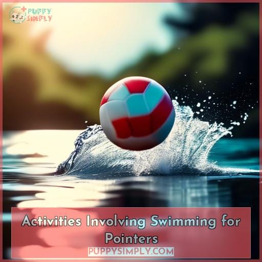 Activities Involving Swimming for Pointers