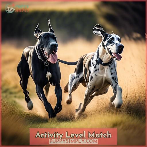 Activity Level Match