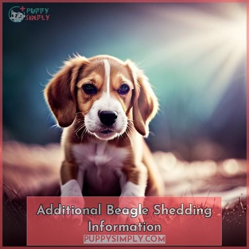 Additional Beagle Shedding Information Additional Beagle Shedding Information