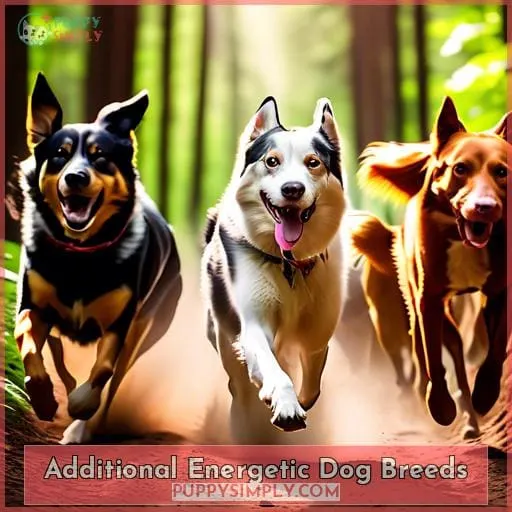 Additional Energetic Dog Breeds