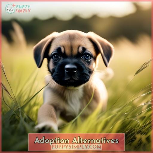 Adoption Alternatives