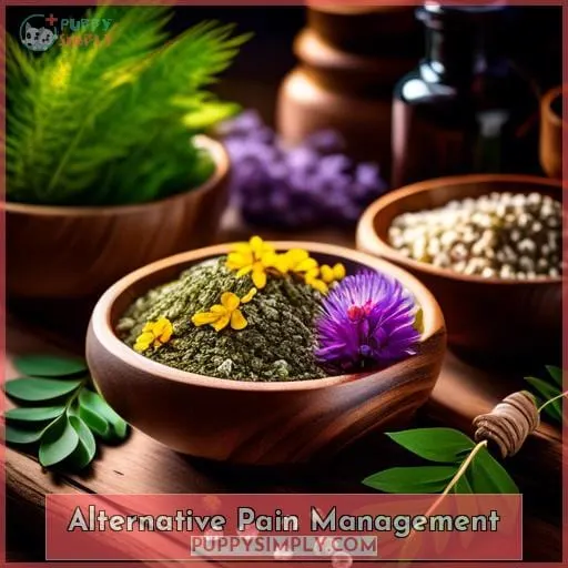 Alternative Pain Management