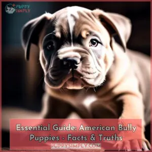 american bully puppies facts and truths you should be aware of before you buy them