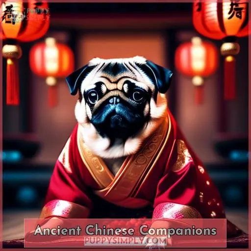 Ancient Chinese Companions
