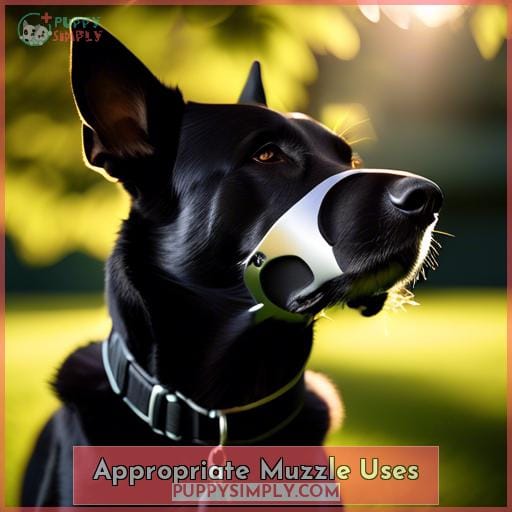 Appropriate Muzzle Uses