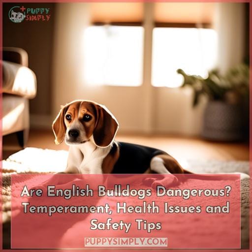 Are English Bulldogs Dangerous? Temperament, Health Issues and Safety Tips