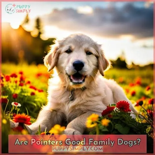 Are Pointers Good Family Dogs