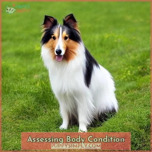 Assessing Body Condition Assessing Body Condition