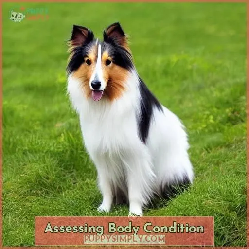Assessing Body Condition