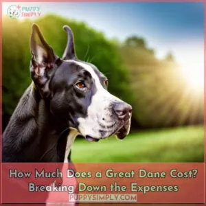 average cost of buying a great dane with 21 examples